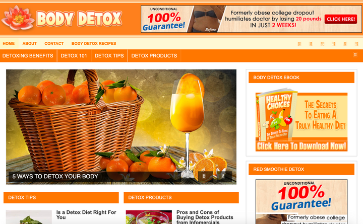 Turnkey Detox Niche Blog