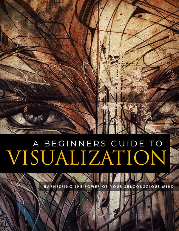 A Beginners Guide To Visualization