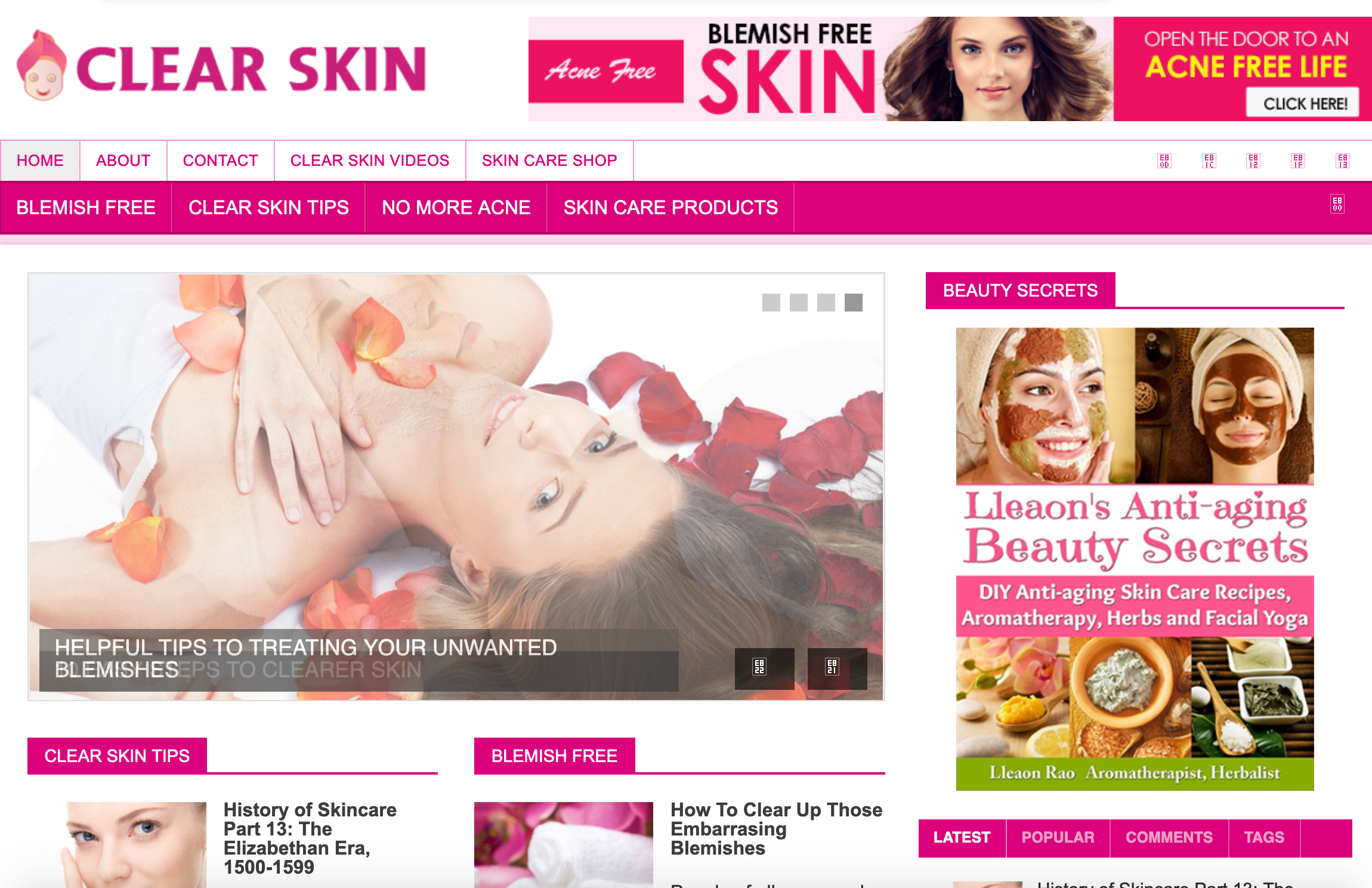 Turnkey Clear Skin Niche Blog