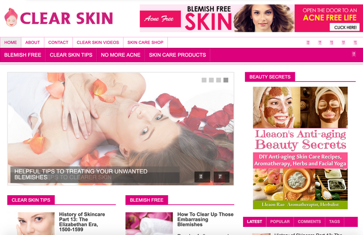 Turnkey Clear Skin Niche Blog